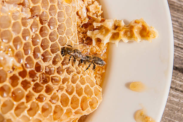 istock Close up view of the working bee on the honeycomb 636574100