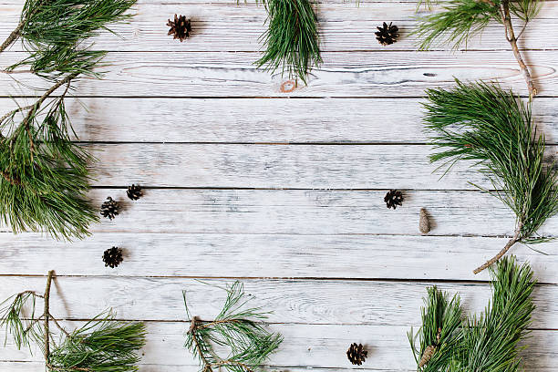 istock Christmas tree fir branches on wooden background. Top view. 636582828