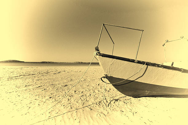 istock Fishing Boat on the Beach 636590550