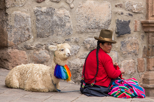 Cusco, peru - October 21, 2016: Indigenous, wearing Peruvian tradicional clothings, with her llama