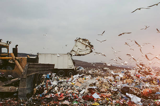 istock Earthmover and garbage truck on a landfill 636593272