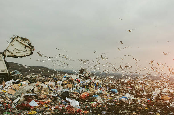 istock Garbage truck on a landfill 636593372