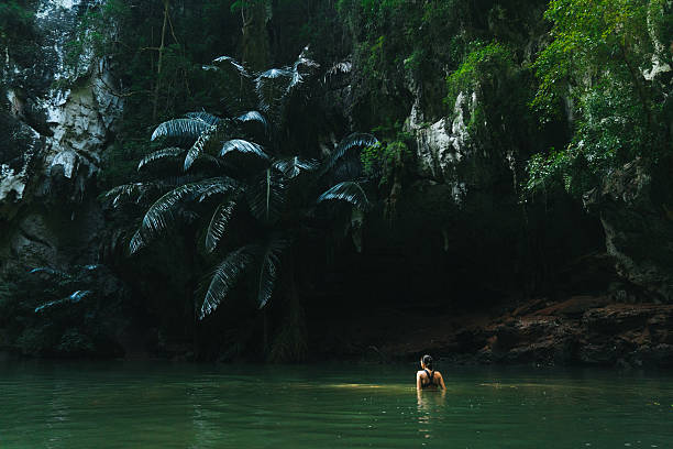 donna che nuota in laguna - tropical rainforest travel beauty in nature environment foto e immagini stock