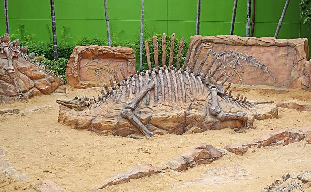 istock replica dinosaur fossil on the sand ground 636597392