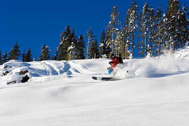 istock Powder skiing in the backcountry 636597488