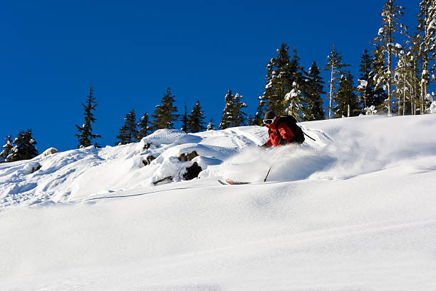 istock Powder skiing in the backcountry 636597550