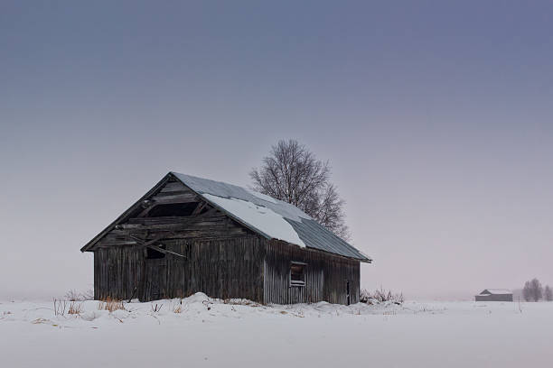 istock Old Barn House On The Snowy Fields 636599492