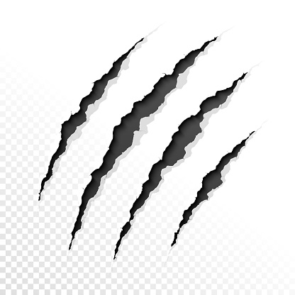 Claws scratches on transparent background. Vector illustration with transparent effect, eps10.
