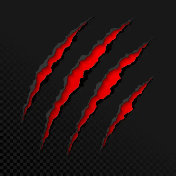 Vector illustration of Claws scratches on transparent background