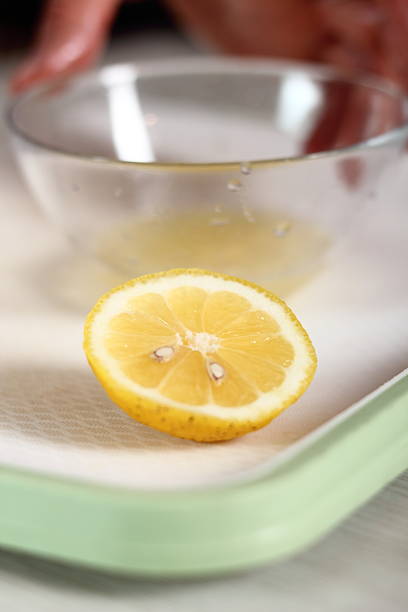 istock Slice of lemon and bowl with lemon juice 636605902