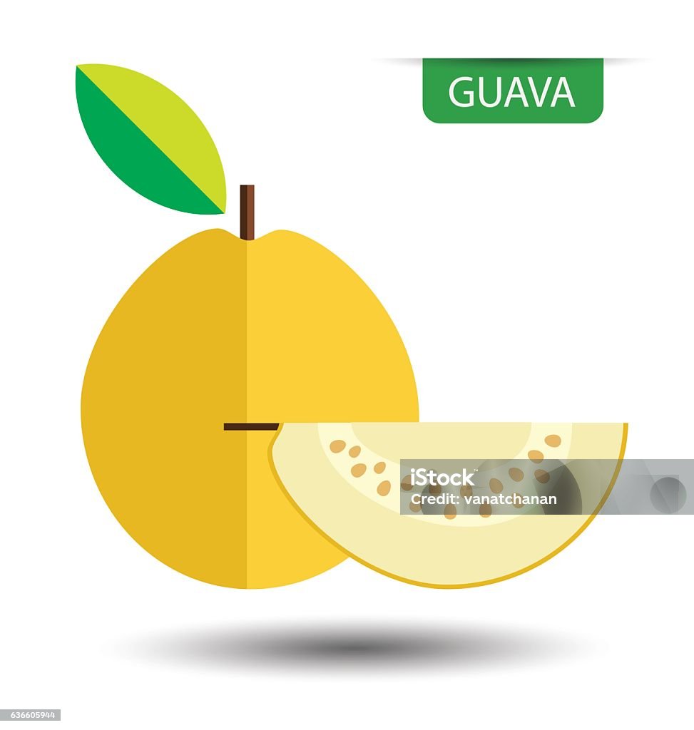 Guava Vector High Resolution Yellow Guava Fruit Vector Illustration Stock Illustration - Download ...