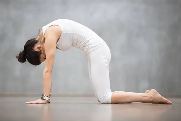 Photo of Beautiful Yoga: Cat, Marjaryasana pose