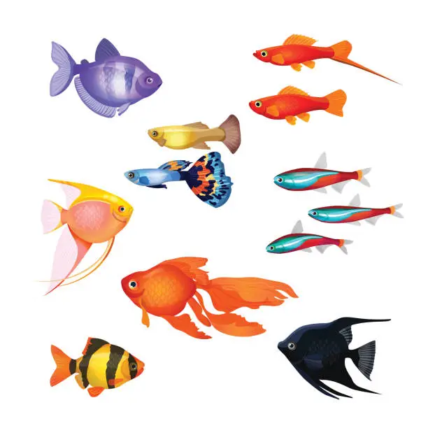 Vector illustration of Set of aquarium fish. Realistic and fairytale underwater characters.