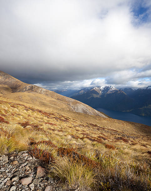 istock Kepler Track - New Zealand 636607746