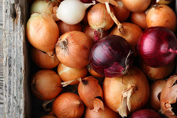 istock mix of ripe onions in crate 636608568