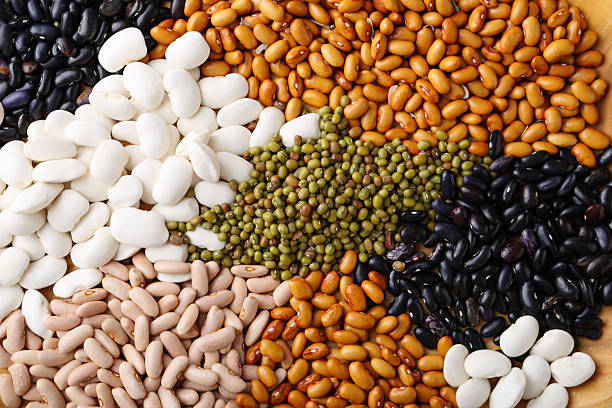 istock Set of raw beans and mung 636608724