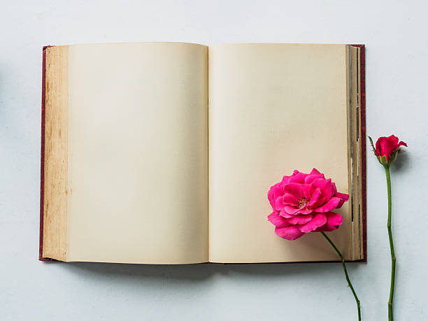 istock Flat lay blank old book open with pink rose 636611696