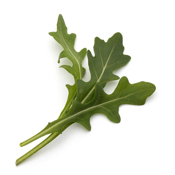istock Sweet rucola salad or rocket lettuce leaves isolated 636615348