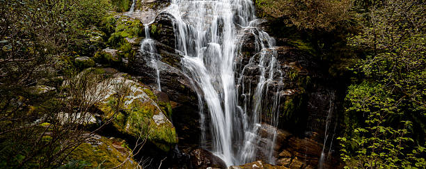 istock Milford Track - New Zealand 636615496