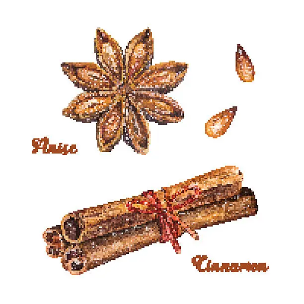 Vector illustration of Watercolor cinnamon sticks and anise