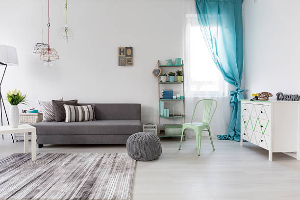 istock Spacious living room with comfortable couch 636621212