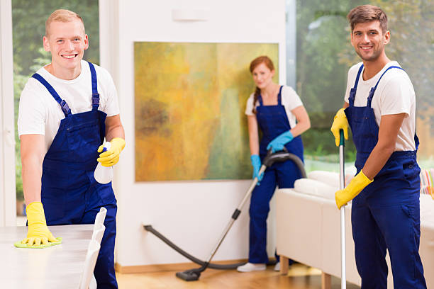 istock Cleaners cleaning modern apartment 636623832