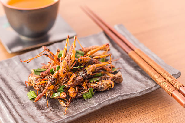 Fried insects Fried insects - Wood worm insect crispy with pandan after fried and add a light coating of sauce and garnish Thai pepper powder with chopsticks, tea, on wooden background, Select focus chinese slum stock pictures, royalty-free photos & images