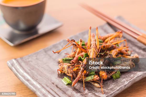 Fried Insects Stock Photo - Download Image Now - Insect, Food, Locust
