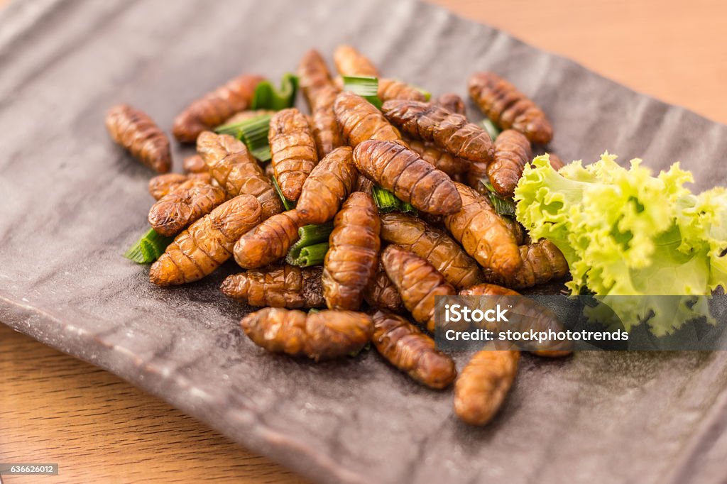 Fried insects Fried insects - Wood worm insect crispy with pandan after fried and add a light coating of sauce and garnish Thai pepper powder on wooden background, Select focus, Closeup image. Insect Stock Photo