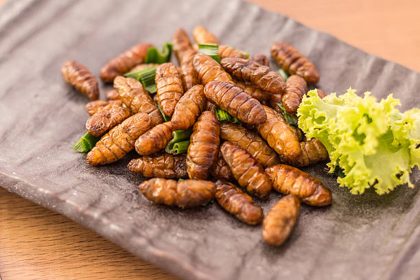 Fried insects Fried insects - Wood worm insect crispy with pandan after fried and add a light coating of sauce and garnish Thai pepper powder on wooden background, Select focus, Closeup image. chinese slum stock pictures, royalty-free photos & images