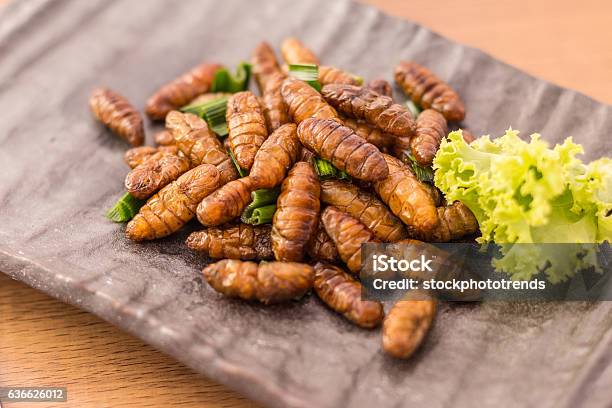 Fried Insects Stock Photo - Download Image Now - Insect, Food, Meal