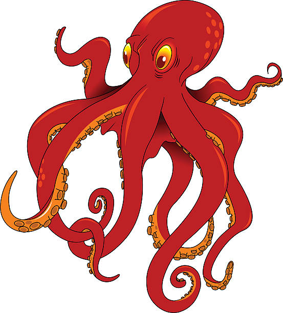 octopus vector art illustration