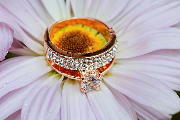 istock rings on white daisy love Valentine's Day  gerbera 636632406