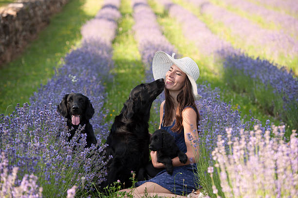 美しい女性と花の中の彼女の犬 ストックフォト