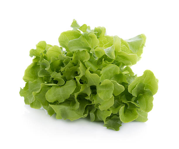 istock Green oak lettuce isolated on white background 636643750