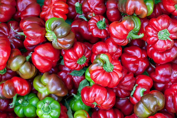 Colorful peppers stock photo