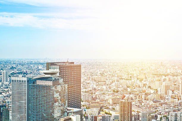 istock panoramic cityscape aerial view in Tokyo, Japan 636648310