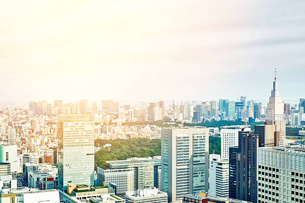istock panoramic cityscape aerial view in Tokyo, Japan 636648500