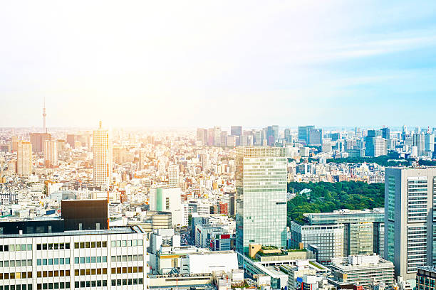 istock panoramic cityscape aerial view in Tokyo, Japan 636648550