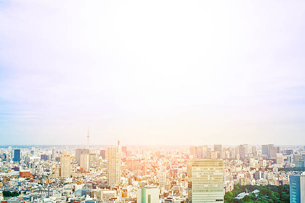 istock panoramic cityscape aerial view in Tokyo, Japan 636648786