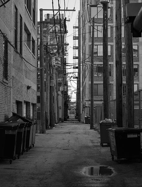 istock Backstreet in Chicago Downtown 636650888