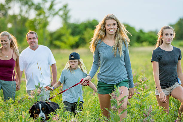istock Family Taking Their Dog on a Walk 636657910