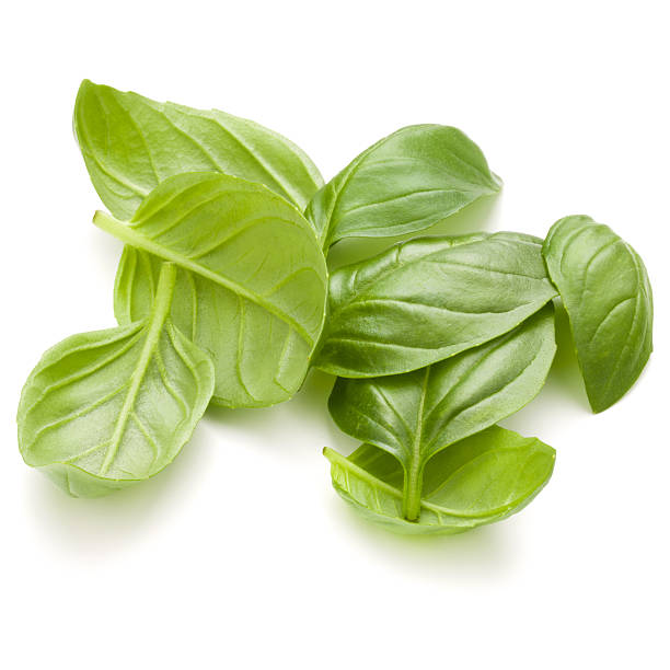 istock Sweet basil herb leaves handful isolated on white background 636660024