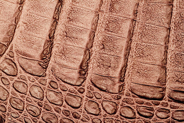 istock Texture of genuine leather close-up, embossed under the skin 636660066
