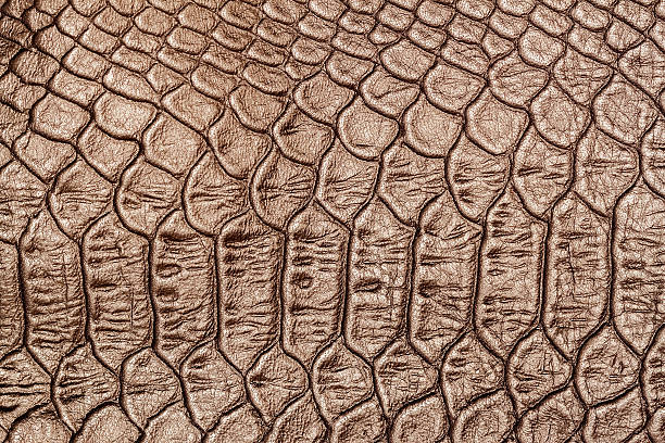 istock Texture of genuine leather close-up, embossed under the squama 636660272