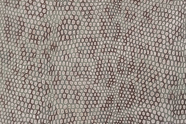 istock Texture of genuine patent leather close-up, embossed under the 636660310