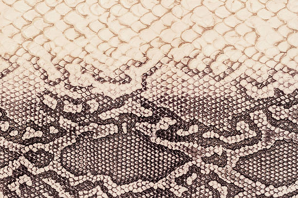 istock Texture of genuine leather close-up, embossed under the skin 636660462