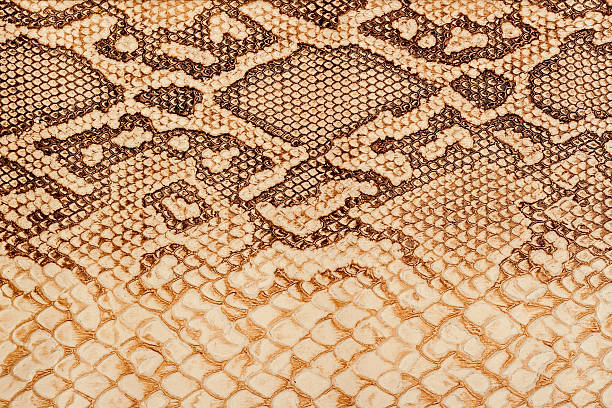 istock Texture of genuine leather close-up, embossed under the skin 636660498