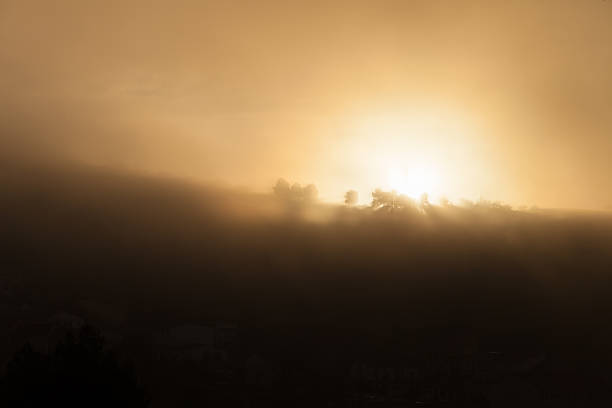 istock Sunrise with trees in the fog 636660752