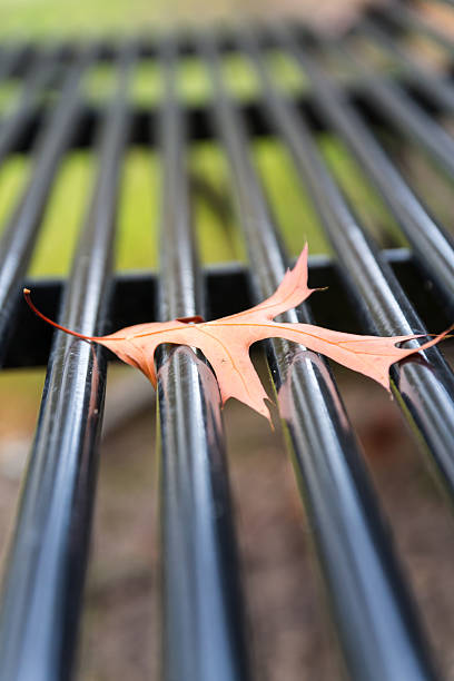 istock Leaf on the bars of a metal bench. 636662610